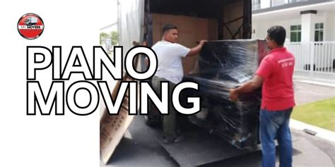 alviz biz resources|Alviz Movers .